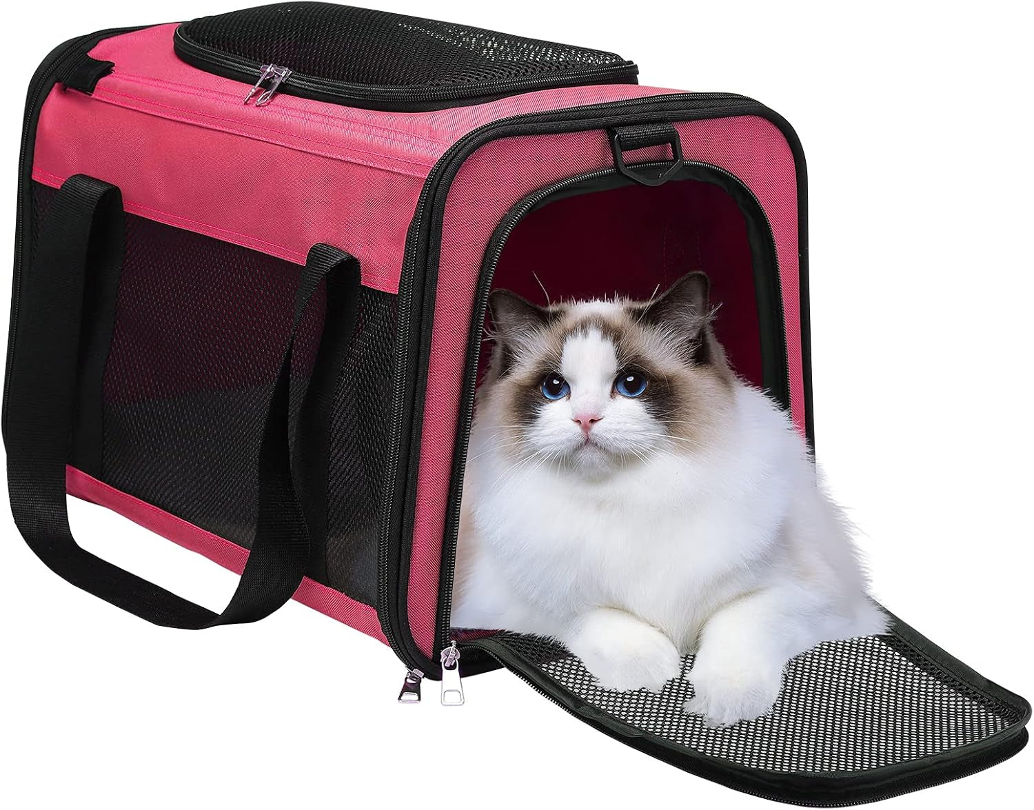 Airline Approved Cat Carrier, Soft Sided Collapsible Puppy Carrier with Locking Safety Zippers, Removable Fleece Pad and Pockets for Small Dogs Puppies Large Cat (L, Pink)