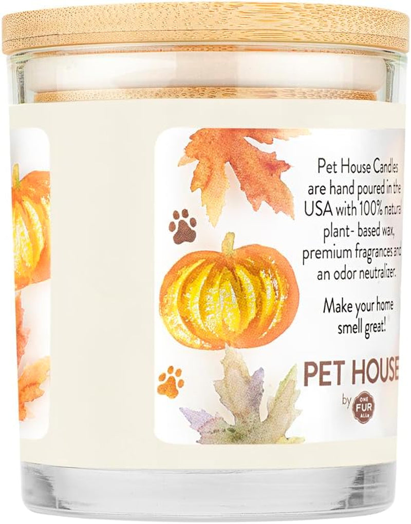 Pet House Pumpkin Candle, Plant-Based Scented Pet Odor Candle, Clean with a 60 Hour Burn Time - Pumpkin Spice, 2 Pack