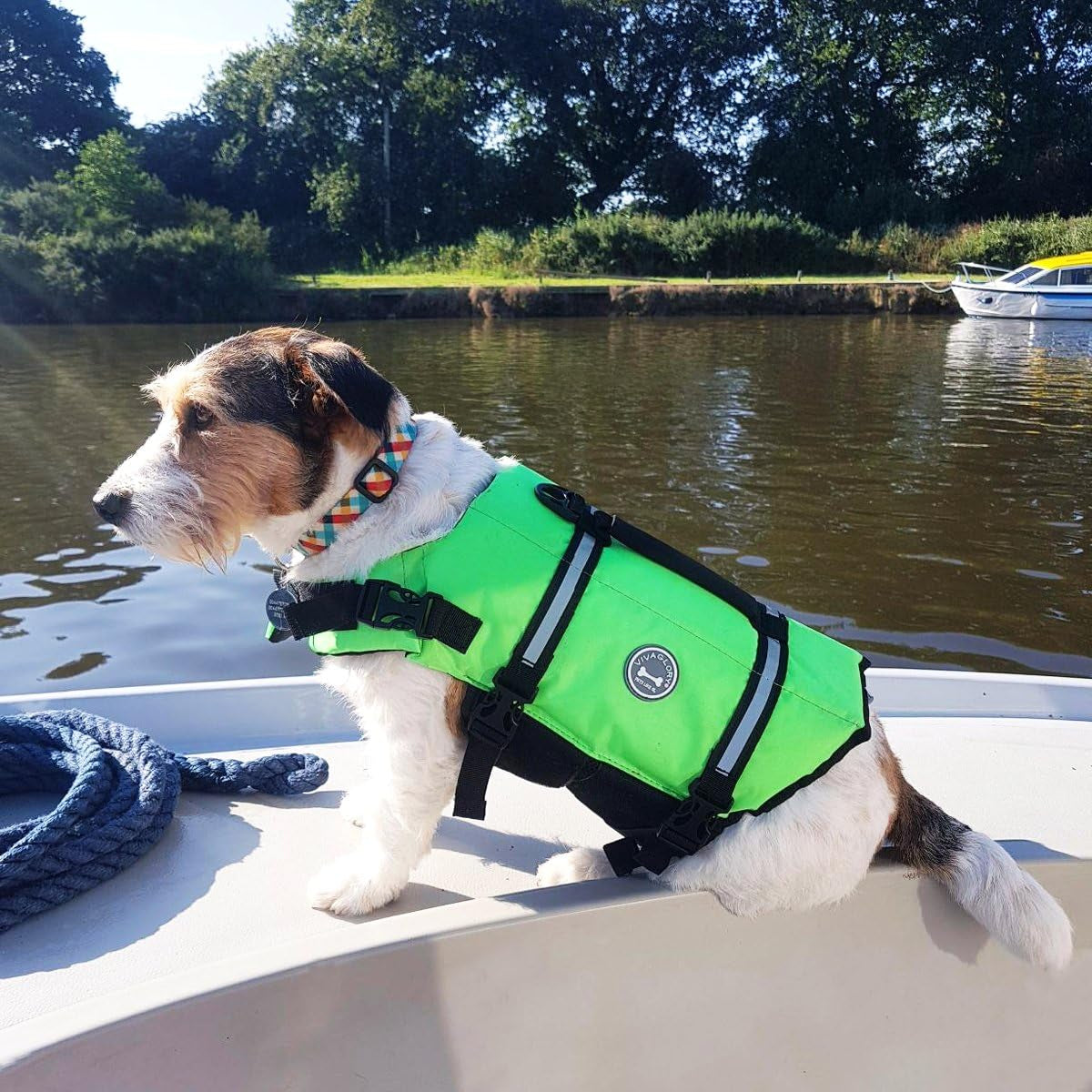 Rip Stop Dog Life Vest, Swimming Vest with Handle, Buoyancy for Doggy Puppy, Dog Life Jacket for Swimming & Boating, S, Bright Green