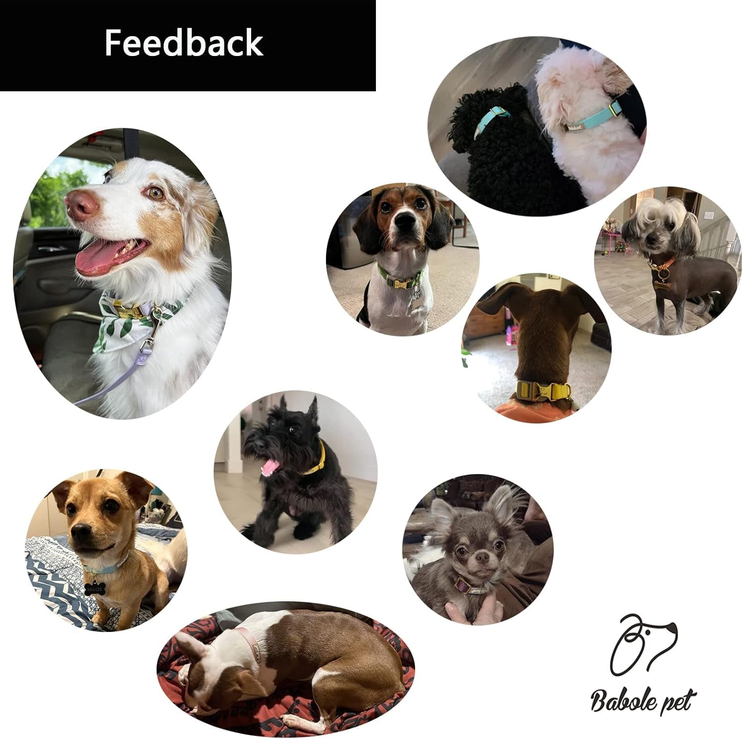 Nylon Dog Collar - Adjustable Lavender Soft Webbing Dog Collars for Small Medium Large Dogs Boy Girl Puppy Collar with Safety Metal Buckle S