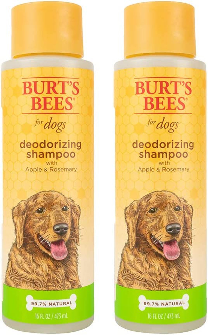 Deodorizing Dog Shampoo with Apple and Rosemary, 95% Natural Origin Formulas, Gentle Canine Cleanser for Smelly Pups, 2 Pk 16 Oz