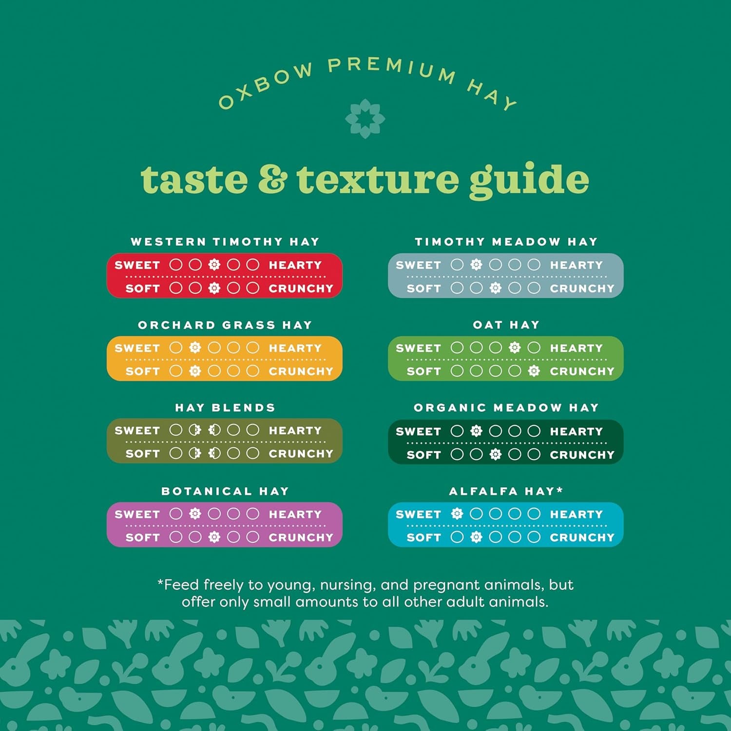 Animal Health Western Timothy Hay, Guinea Pig Hay, Small Pet Bunny Supplies, All Natural Grass for Guinea Pig, Bunny, Chinchilla & Hamster,  Rabbit Supplies for Bunnies, 90 Oz. Bag