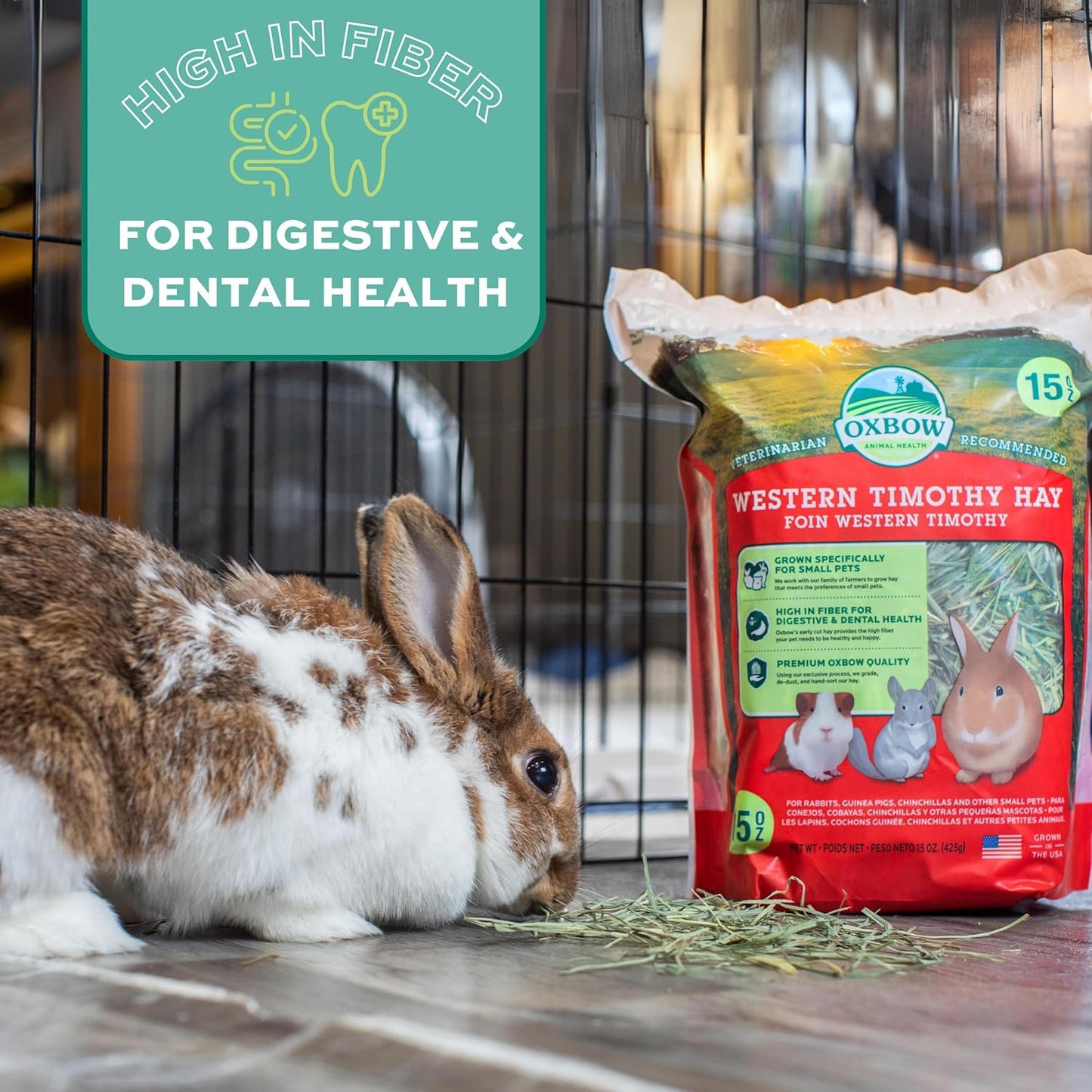 Animal Health Western Timothy Hay, Guinea Pig Hay, Small Pet Bunny Supplies, All Natural Grass for Guinea Pig, Bunny, Chinchilla & Hamster, Rabbit Supplies for Bunnies, 90 Oz. Bag
