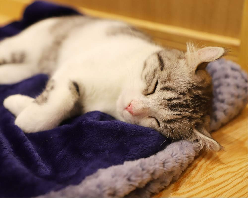 Dog Blankets for Small Dogs & Cats for Couch, Reversible Flannel Blankets for Pets 24X32 Inch,Cat Blankets for Indoor Cats Washable (Blue)