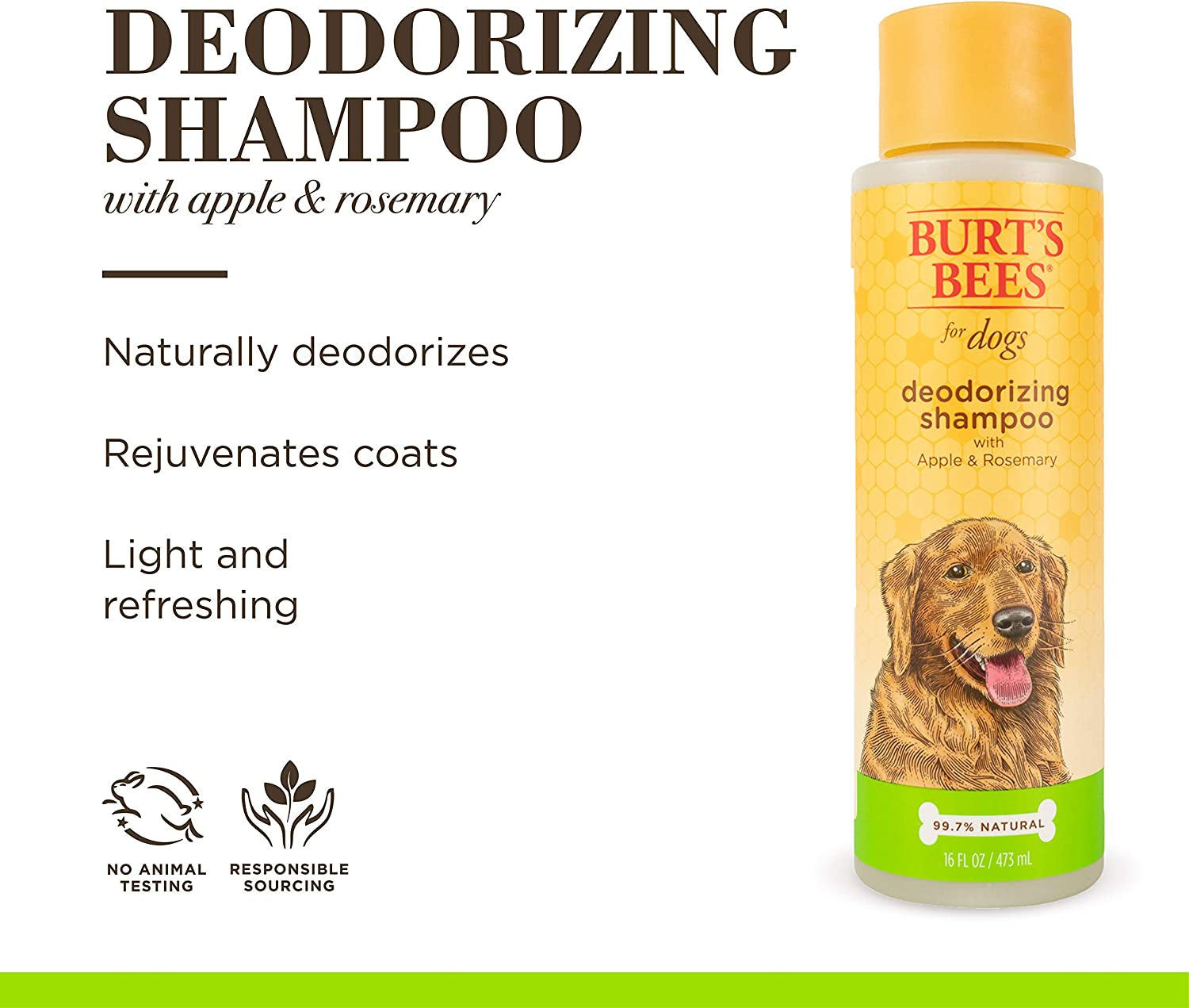 Deodorizing Dog Shampoo with Apple and Rosemary, 95% Natural Origin Formulas, Gentle Canine Cleanser for Smelly Pups, 2 Pk 16 Oz