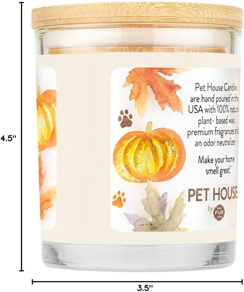 Pet House Pumpkin Candle, Plant-Based Scented Pet Odor Candle, Clean with a 60 Hour Burn Time - Pumpkin Spice, 2 Pack