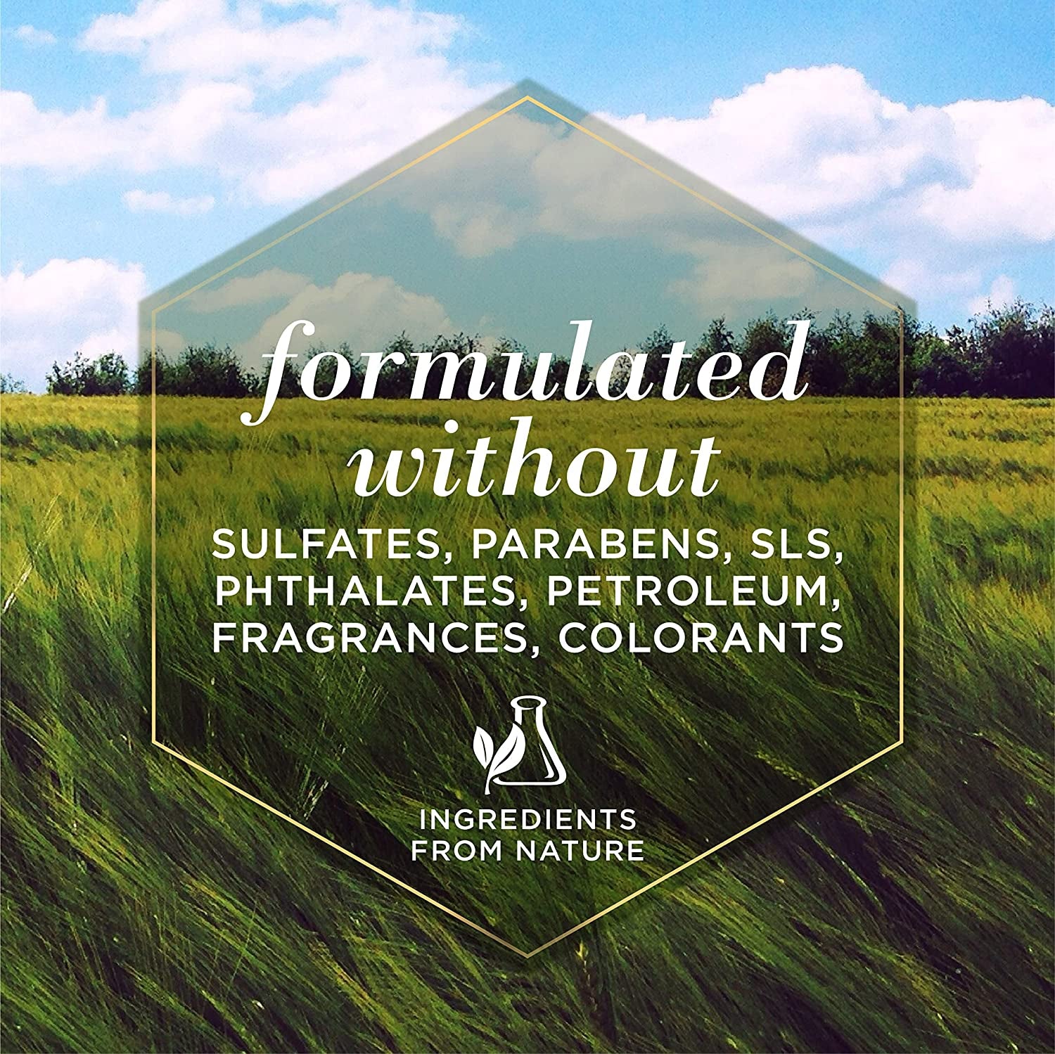 Multipurpose Dog Wipes with Honey, 98% Natural Origin Formulas, Hypoallergenic Dogs Wipe, Canine Cleaning Sheets for Paws and Butt, 3 Pk, 50Ct