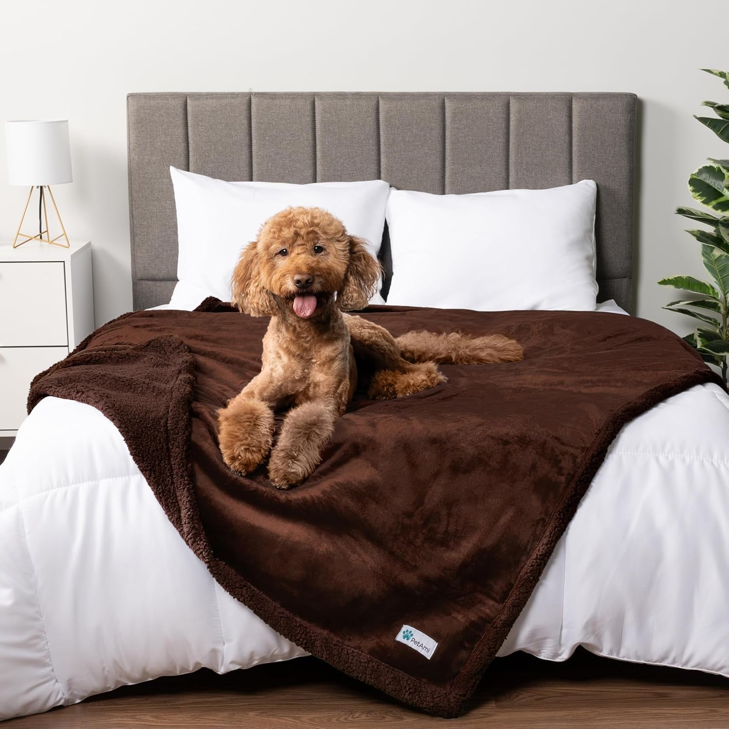 Waterproof Dog Blanket for Medium Large XL Dog Puppy Cat Throw for Couch Cover Leakproof Protection, Sherpa Fleece, Reversible Soft Washable 80X60 Brown Brown