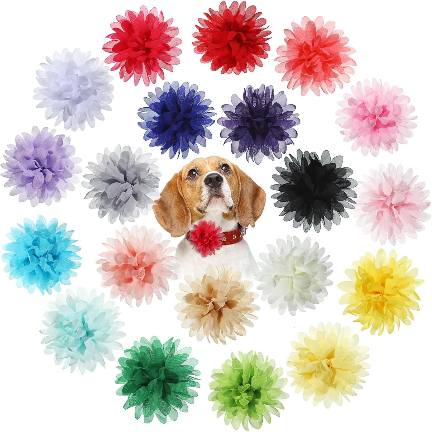 20 Pcs 12 Cm/ 4. 7 Inch Pet Flower Collar Bow Dog Collar Dog Flower Accessory Multi Color Soft Chiffon Bow Tie Charms for Puppy Grooming Accessories