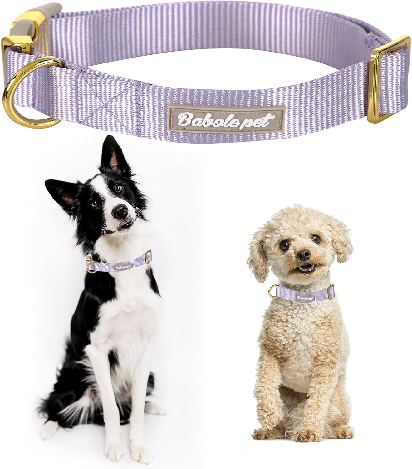 Nylon Dog Collar - Adjustable Lavender Soft Webbing Dog Collars for Small Medium Large Dogs Boy Girl Puppy Collar with Safety Metal Buckle S
