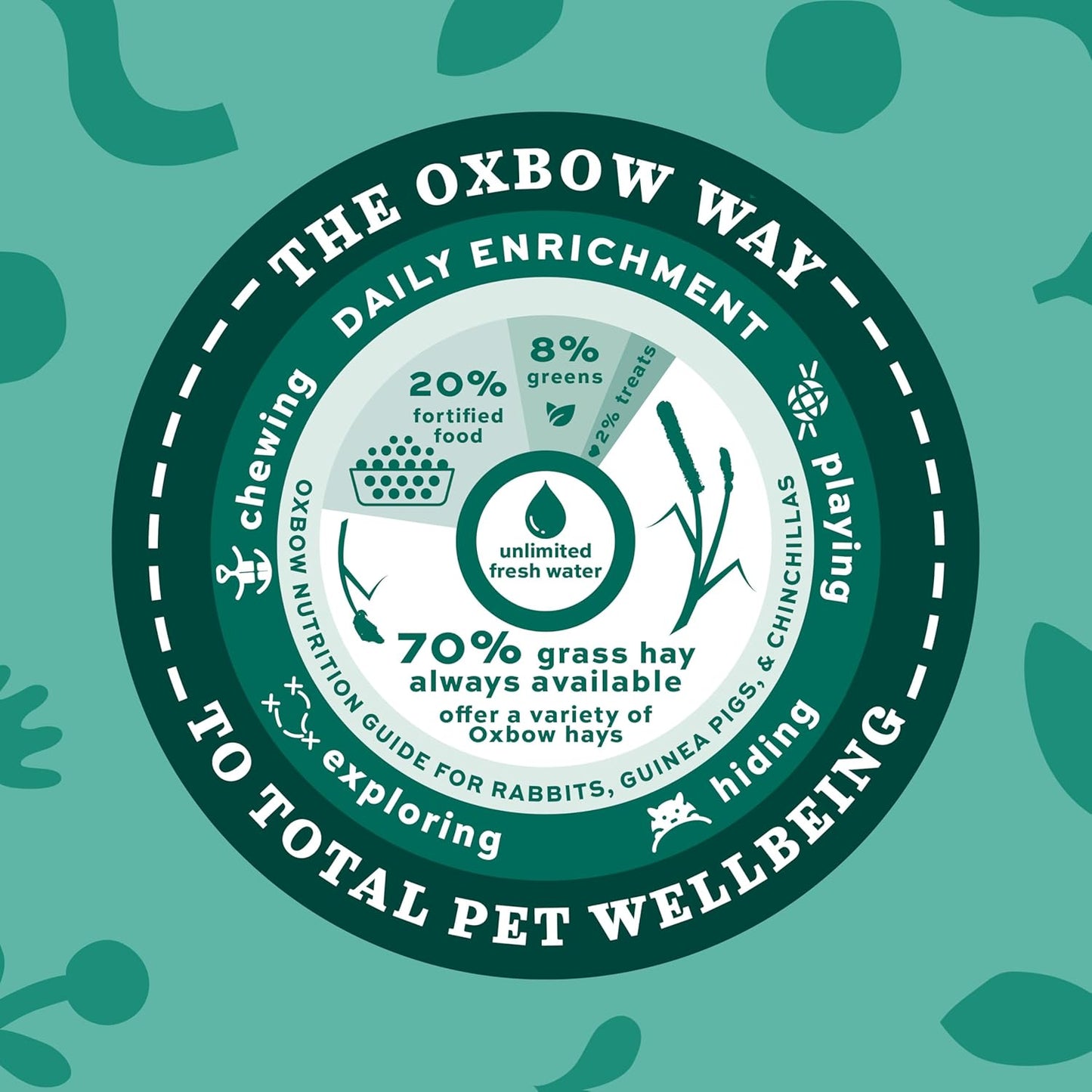 Animal Health Western Timothy Hay, Guinea Pig Hay, Small Pet Bunny Supplies, All Natural Grass for Guinea Pig, Bunny, Chinchilla & Hamster, Rabbit Supplies for Bunnies, 90 Oz. Bag