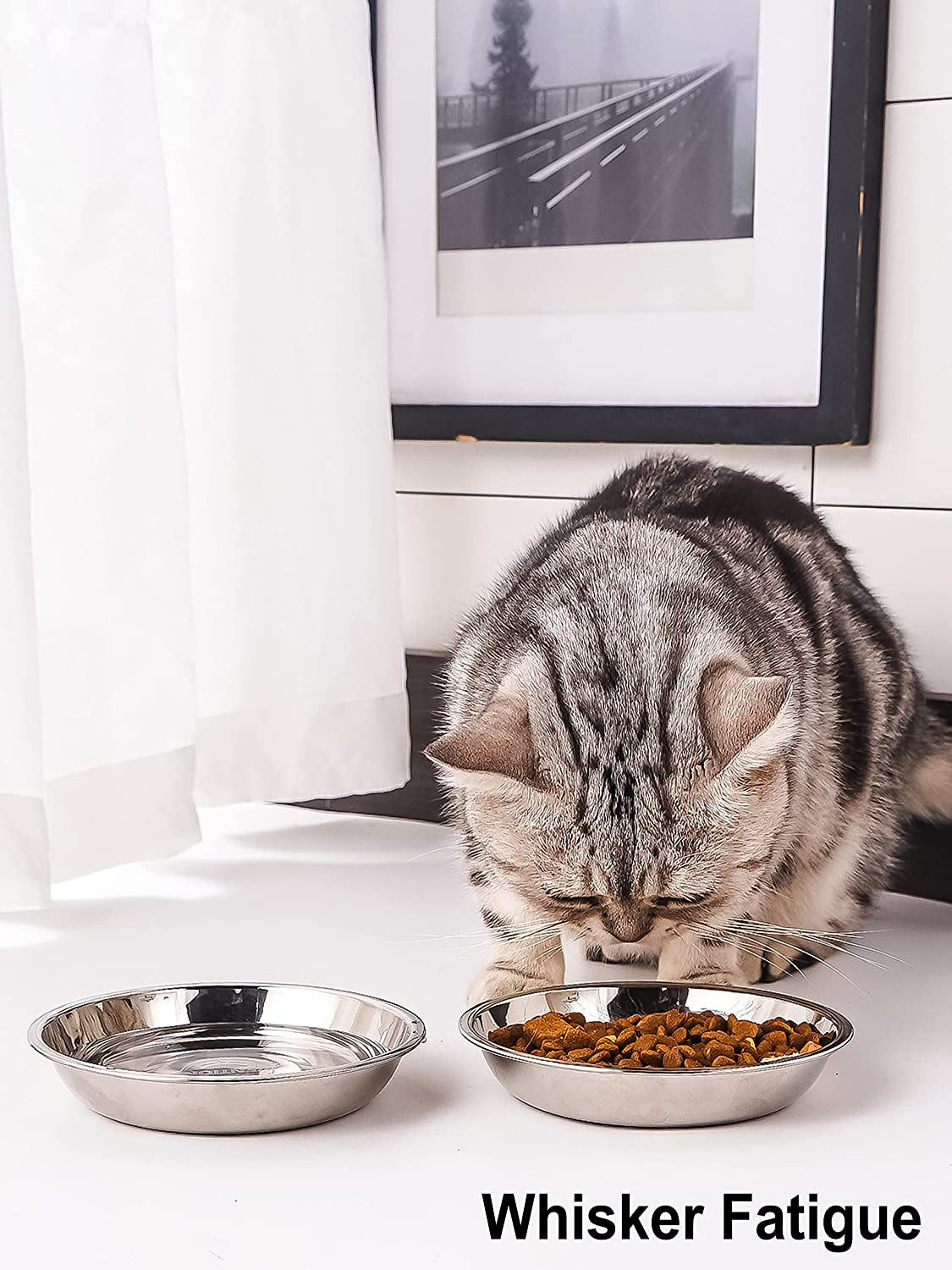 Small Shallow Cat Food Bowls, Outer Dia. 4.9 in Whisker Fatigue Cat Bowl, Stainless Steel Cat Food Dish for Indoor Cats, Set of 4 Replacement Cat Bowls for Raised Station(7.4 Fl.Oz)