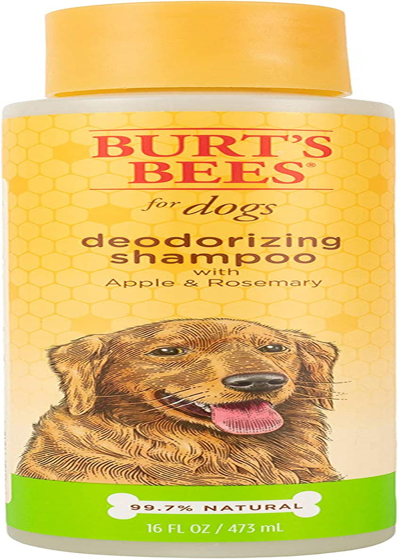 Deodorizing Dog Shampoo with Apple and Rosemary, 95% Natural Origin Formulas, Gentle Canine Cleanser for Smelly Pups, 2 Pk 16 Oz