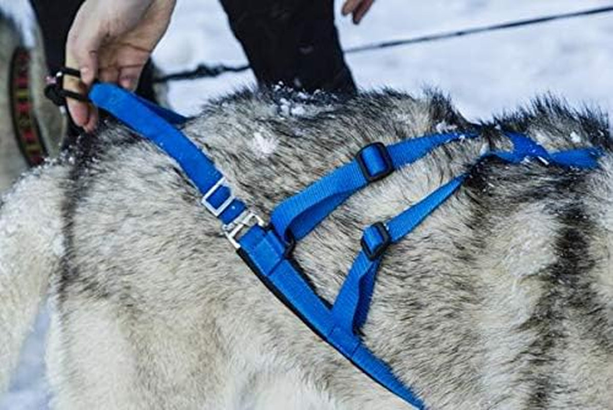 Adjustable Sled Pro Harness (Small, Blue), Dog Harness Large Breed, Dog Pulling Harness, Giant Dog Harness, Sled Harness for Pulling, Great for Dog Joring