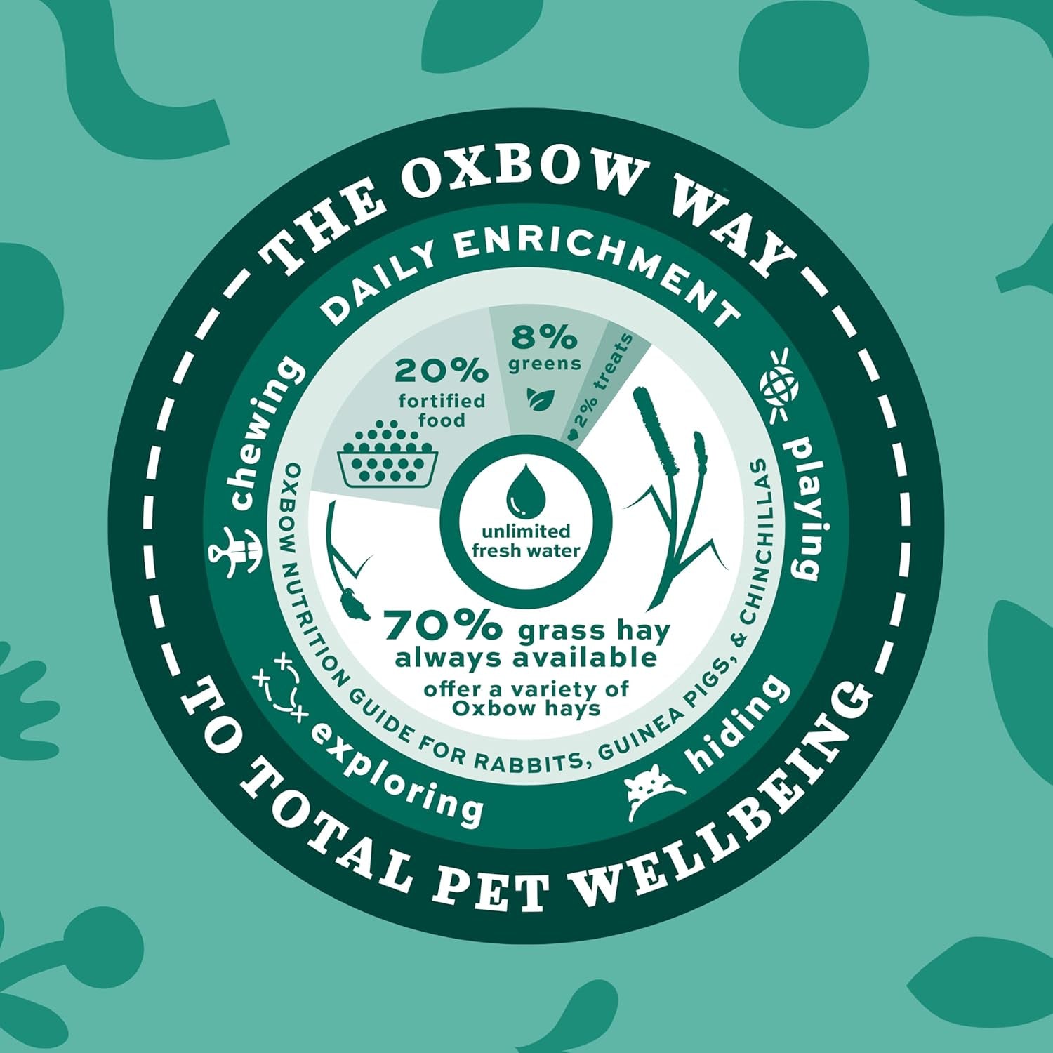 Animal Health Western Timothy Hay, Guinea Pig Hay, Small Pet Bunny Supplies, All Natural Grass for Guinea Pig, Bunny, Chinchilla & Hamster,  Rabbit Supplies for Bunnies, 90 Oz. Bag