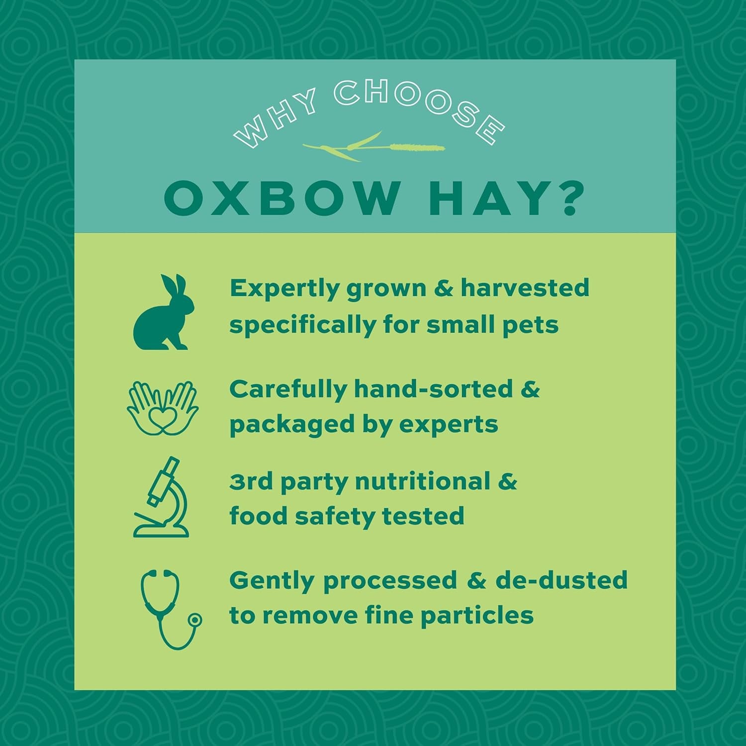 Animal Health Western Timothy Hay, Guinea Pig Hay, Small Pet Bunny Supplies, All Natural Grass for Guinea Pig, Bunny, Chinchilla & Hamster,  Rabbit Supplies for Bunnies, 90 Oz. Bag